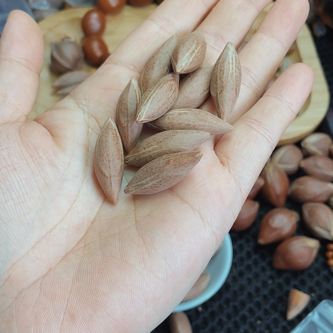 橄榄核手串/手链阿***叻十元一个精品核手串