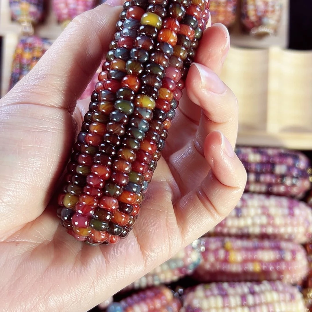 树脂✨****✨亲爱的拍359