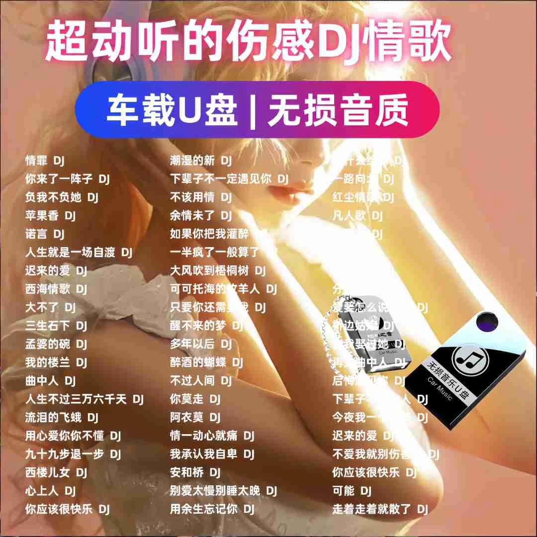 无损音质中文DJ伤感流行榜单高品质MP3dj车载u盘2025最新款劲爆dj