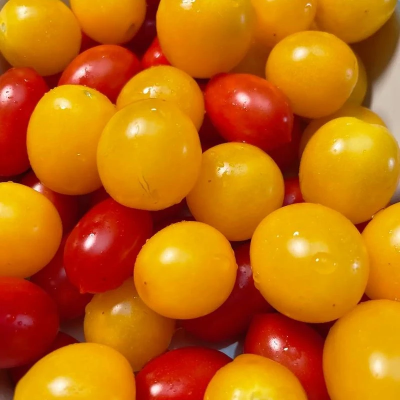 【京美】本地圣女果900g/盒