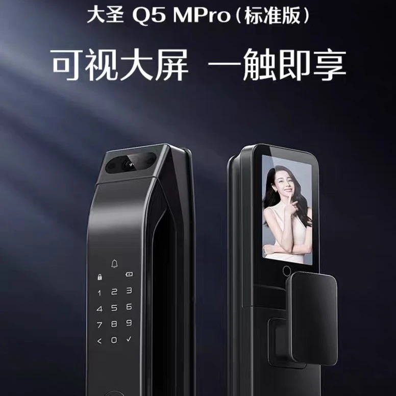 德施曼智能锁Q5MPro标准版
