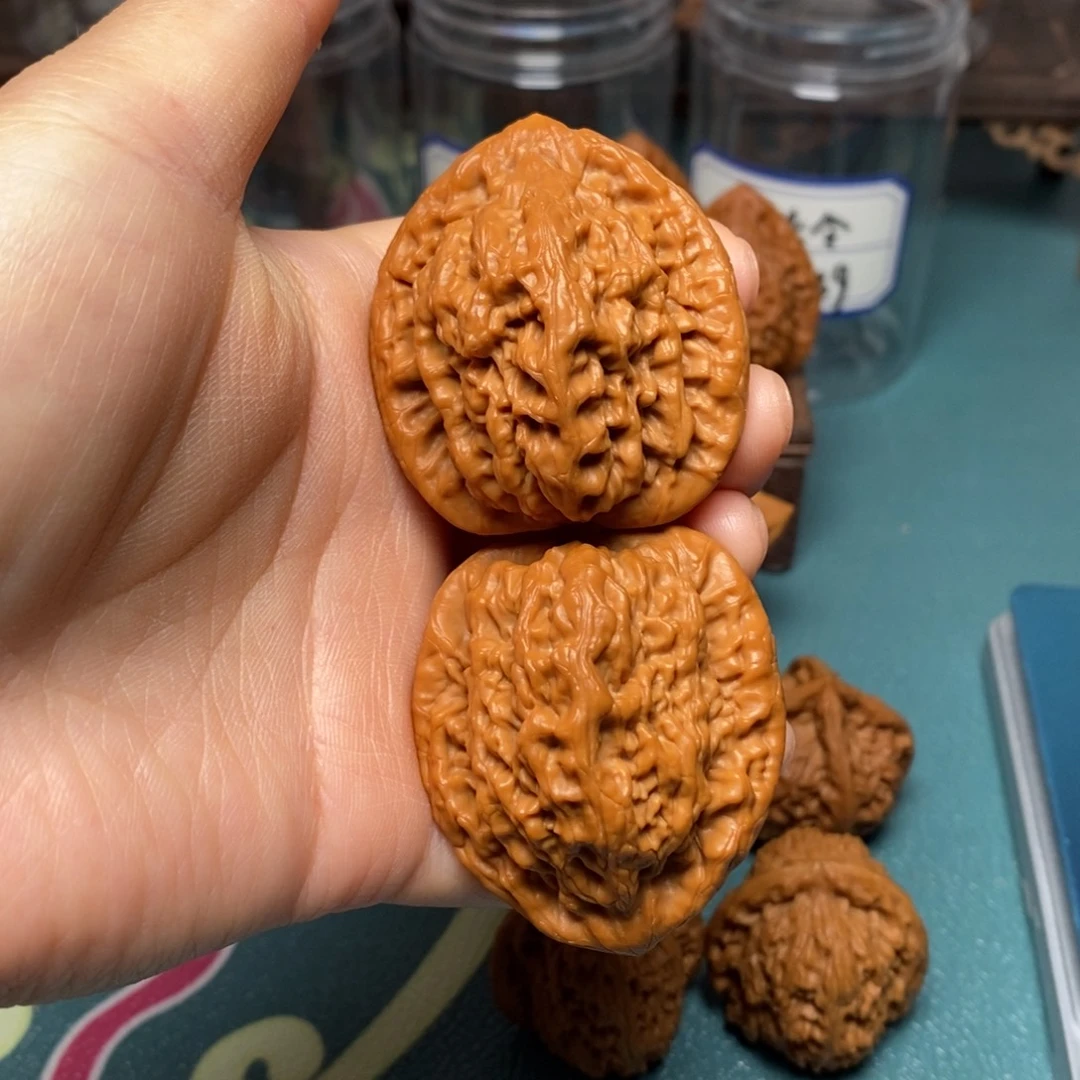 核桃42尺金公子修