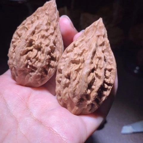 把件文玩核桃东北野生楸子小园 114