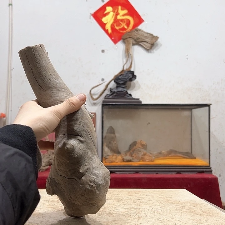 柏木纸**迷我们都是好孩子呀