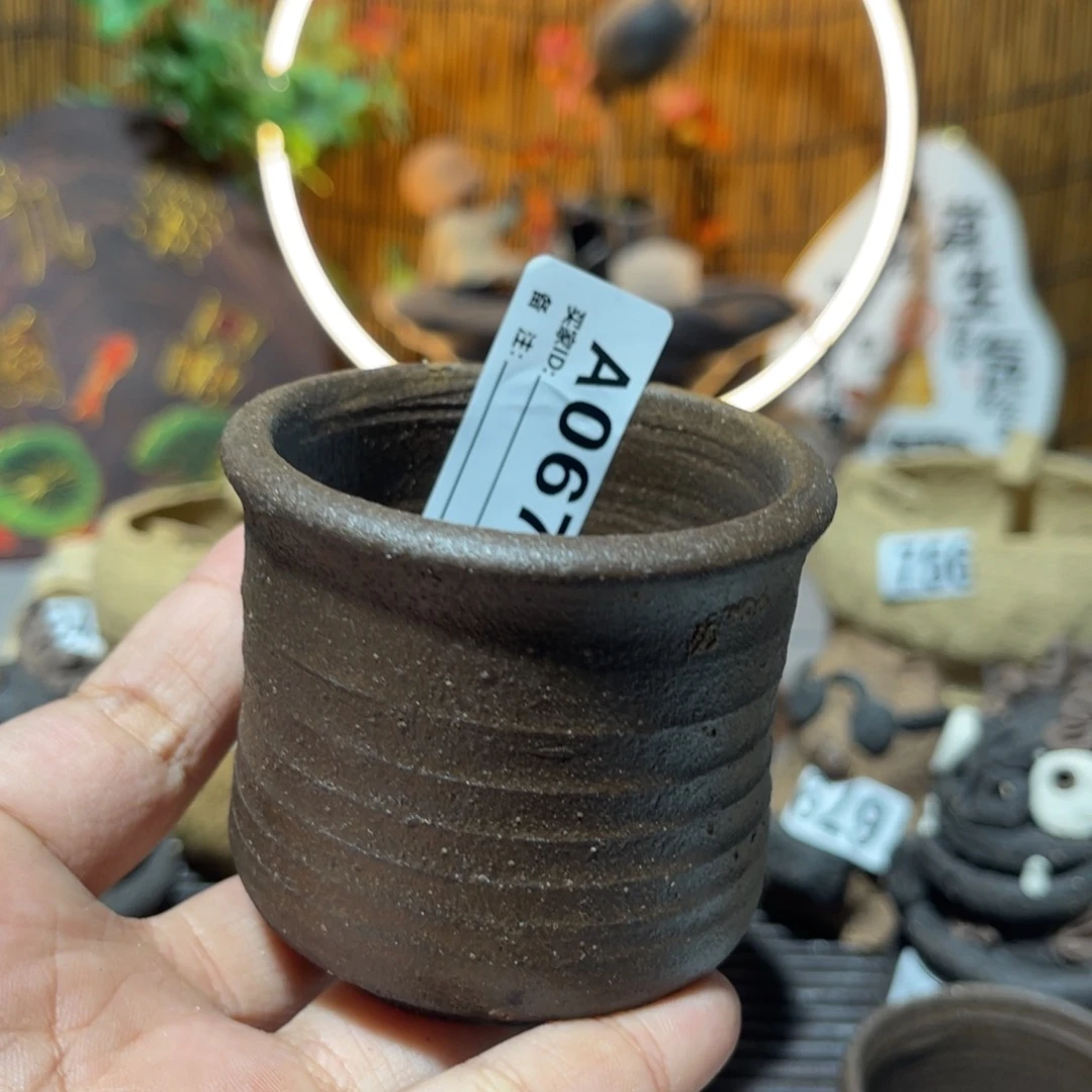 木村信弘柴烧保平