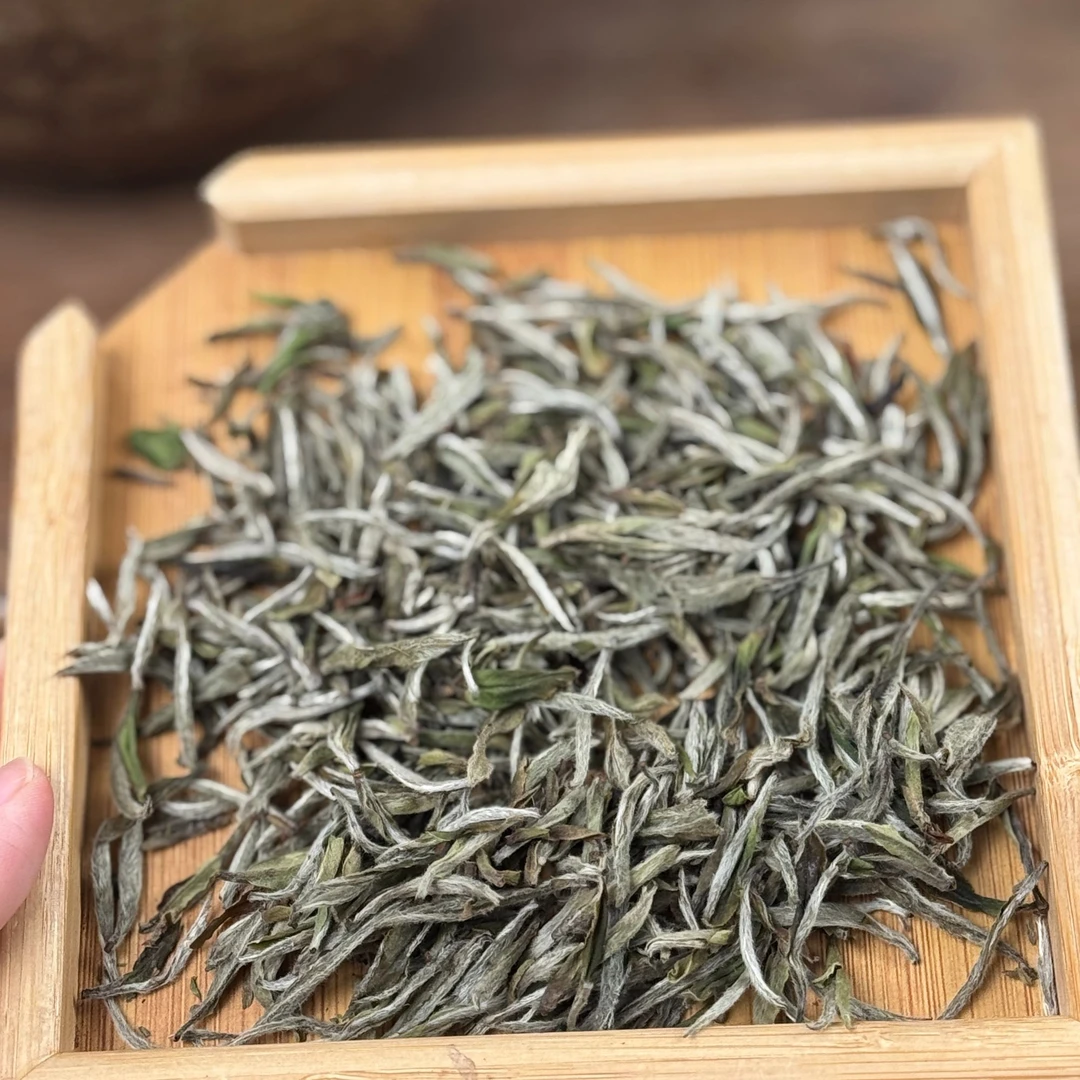 2023年银针 福鼎银针白茶收藏级品鉴装