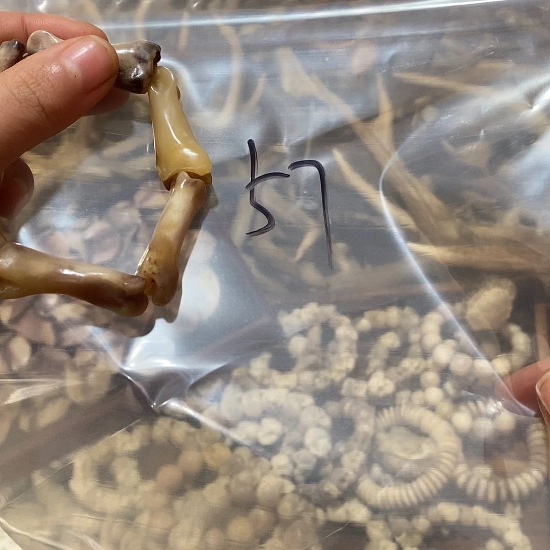 四***友非金属鹿骨骨鹿骨鹿骨
