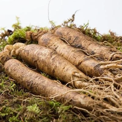 [长白山鲜人参]单支70-90克3支泡酒 煲汤