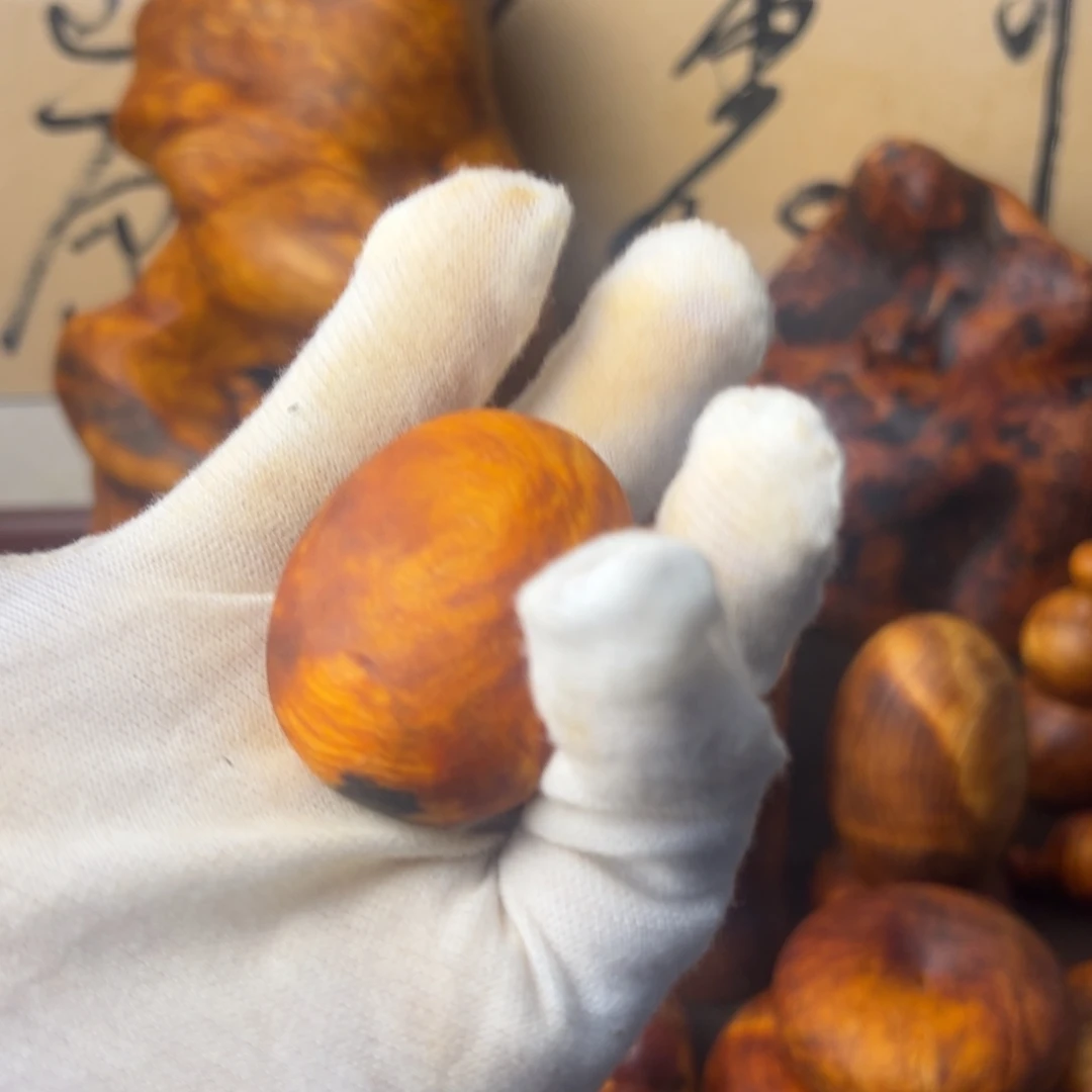 琥珀木长白山琥珀木