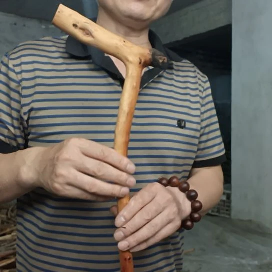 稳定木龍**踞高山 檬子木文玩料