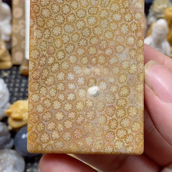颈饰未镶嵌硅化珊瑚（珊瑚玉）