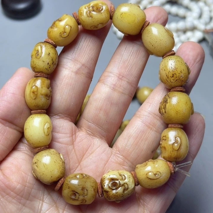 大果紫檀（缅甸花梨）