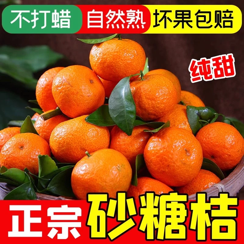 XW正宗广西沙糖桔新鲜当季水果砂糖橘现摘现发鲜甜多汁包邮