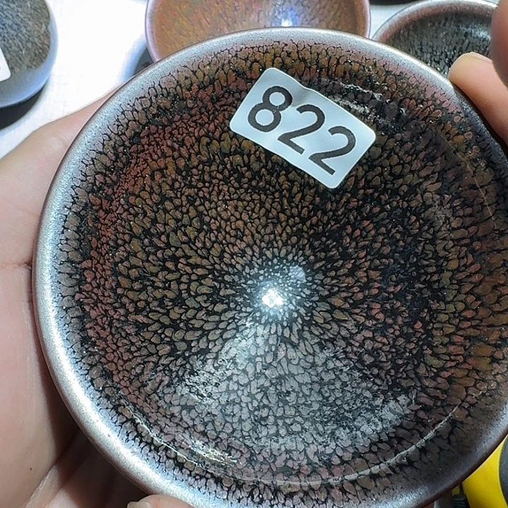 茶盏提出解决农村留守学生入学