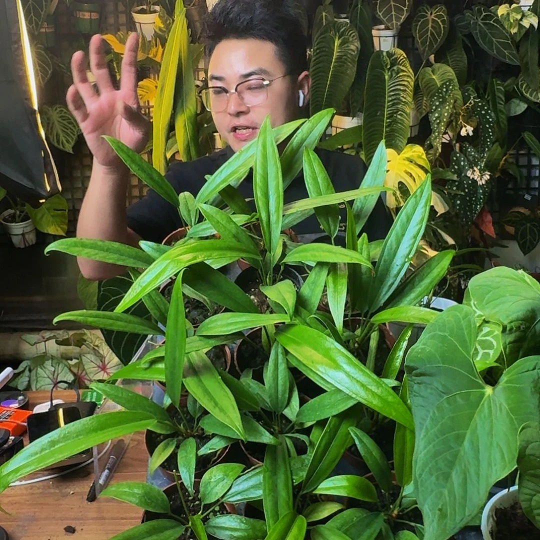 完全开放一物一拍下播福利