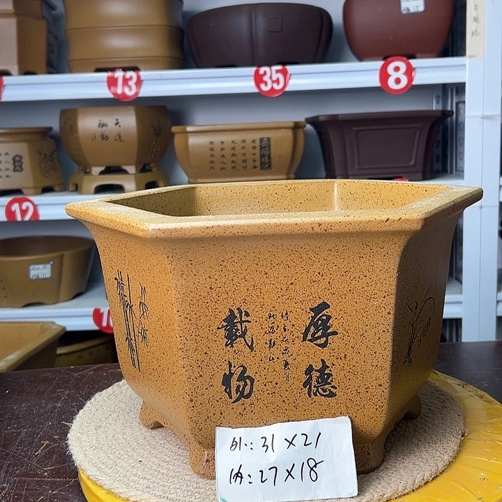 花盆紫砂你在一起