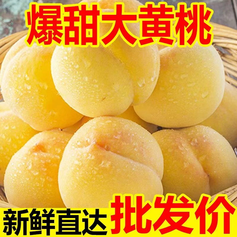 【顺丰包邮】秦岭山下正宗锦绣香甜大黄桃原产地现摘现发脆甜多汁
