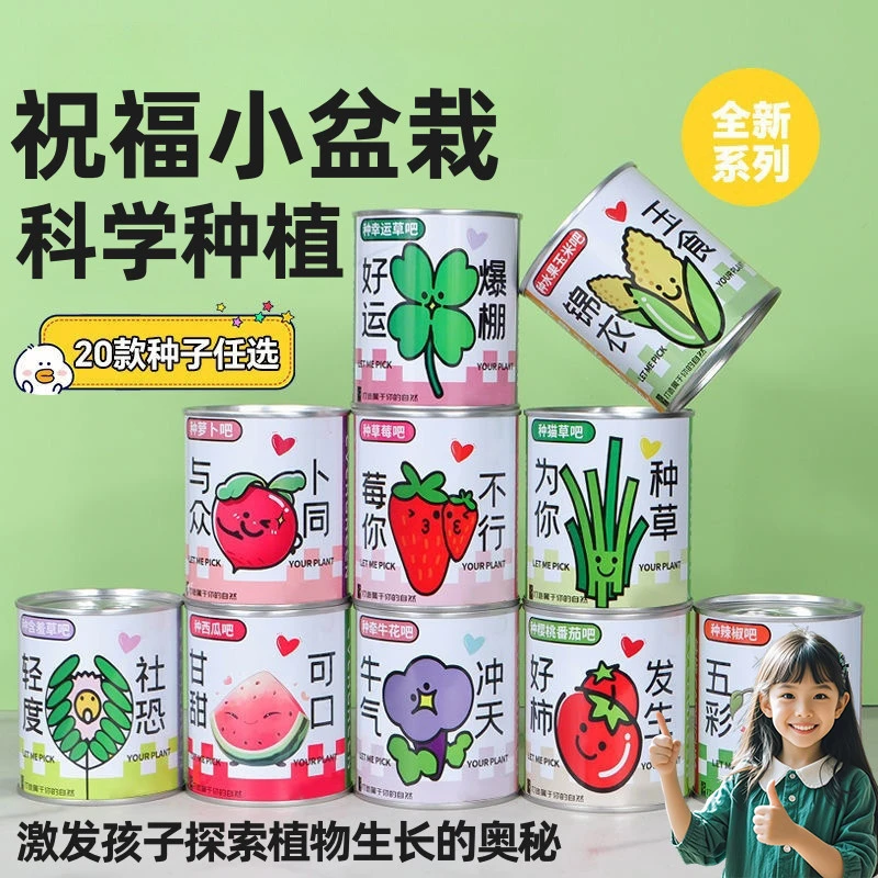 劳动节种植小盆栽儿童幼儿园小学科学实验草莓易拉罐盆栽植物盲盒