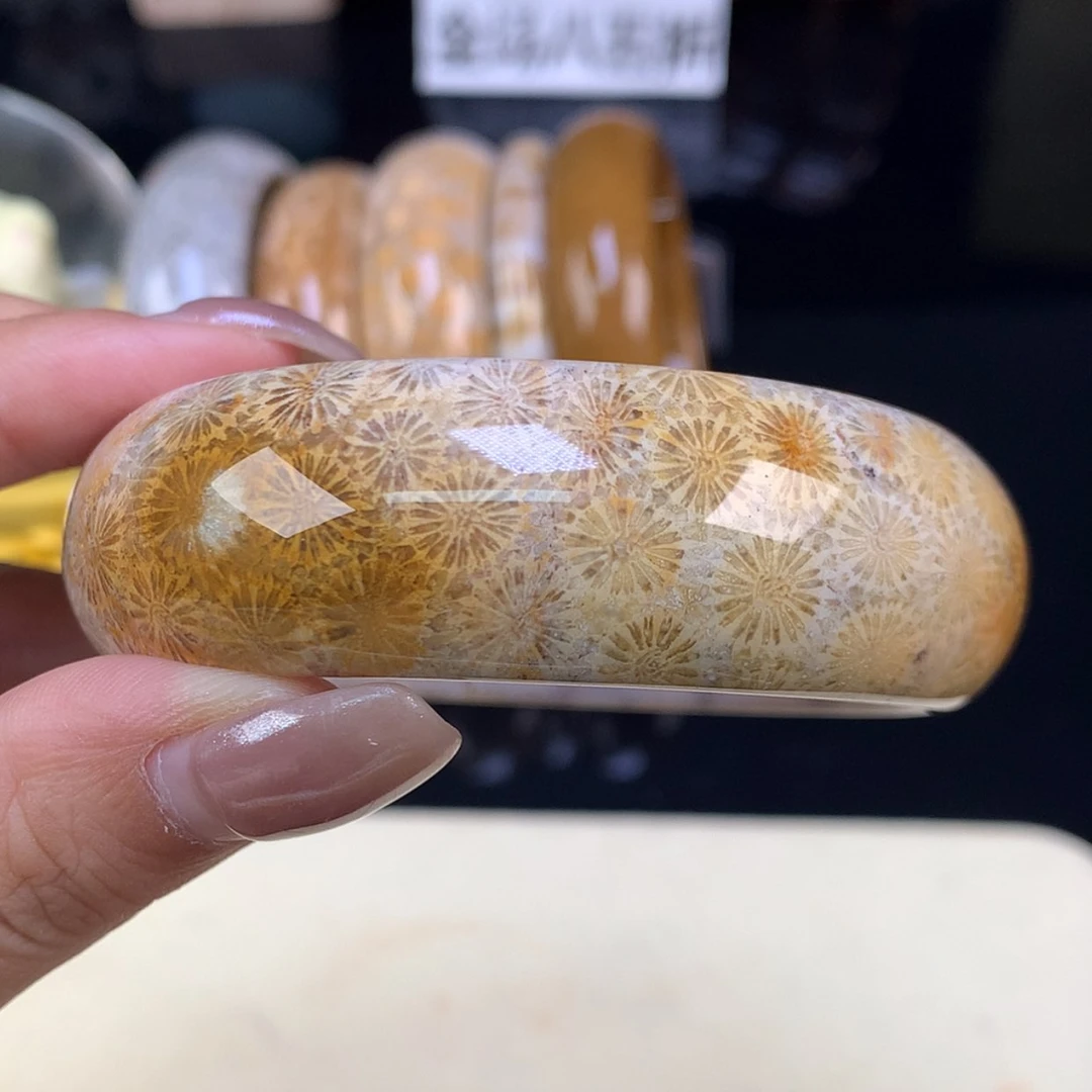【闪购商品】颈饰未镶嵌硅化珊瑚（珊瑚玉）精品手镯56.4（62号）