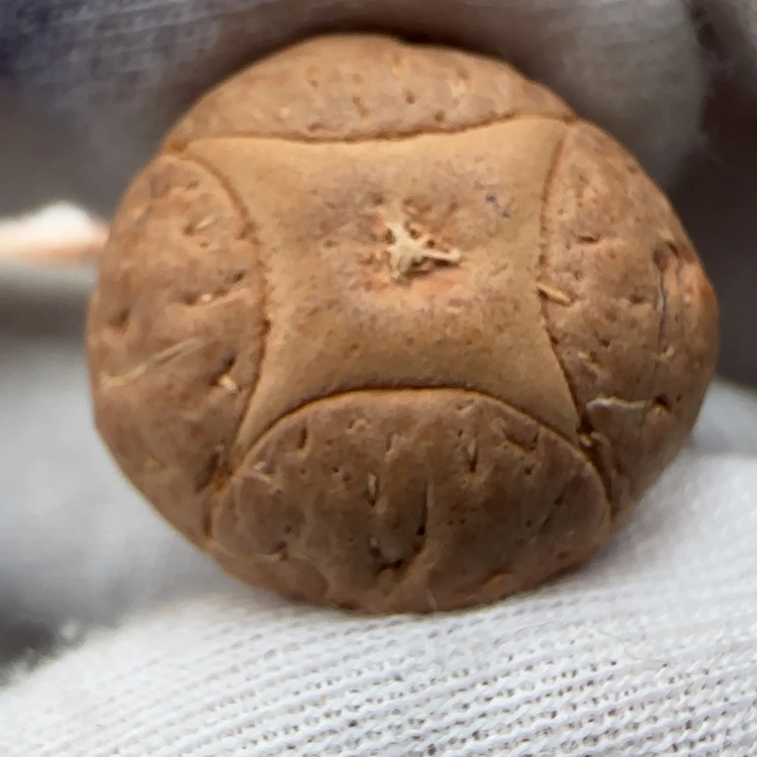 吊坠凤眼菩提凤眼菩提