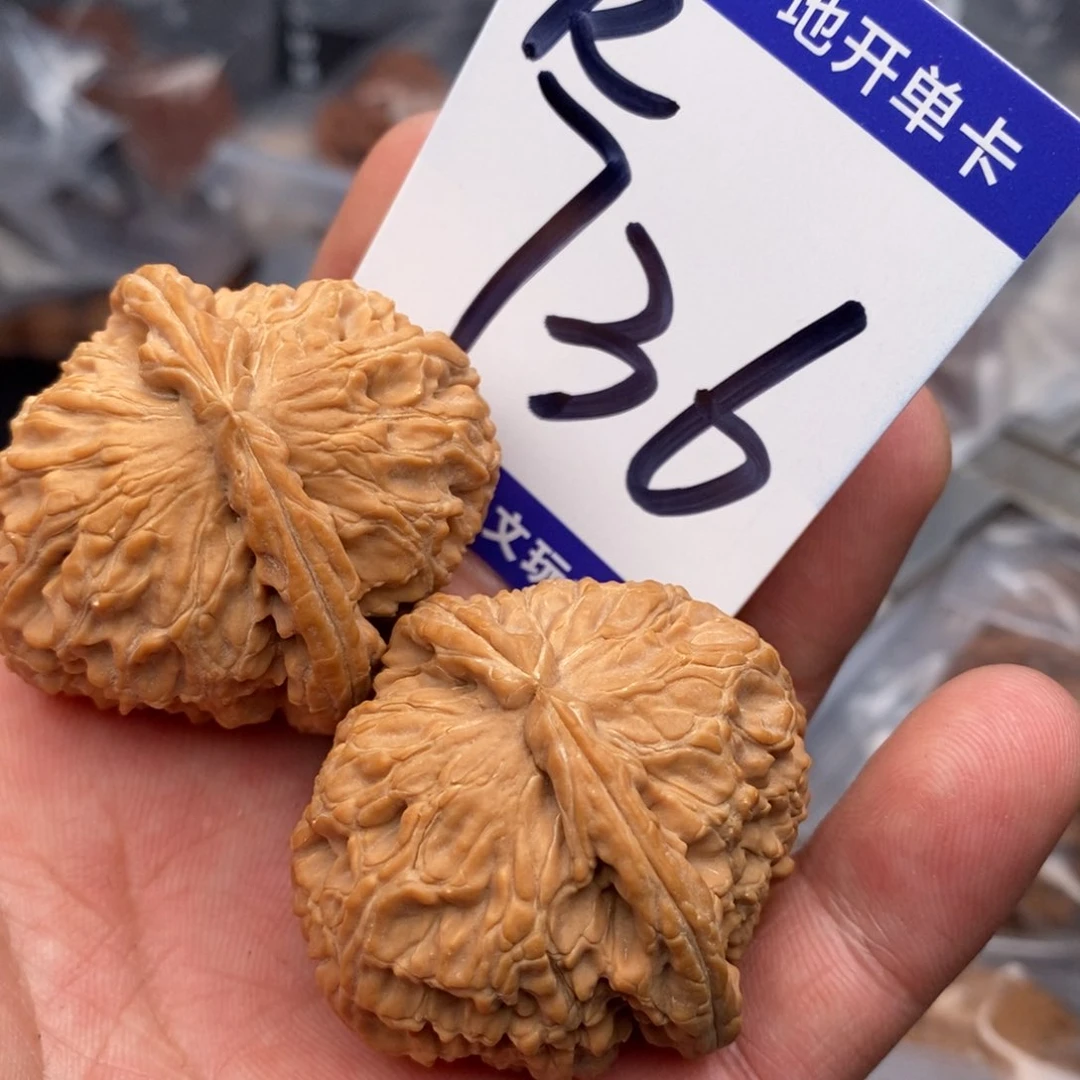 把件文玩核桃白狮子40尺