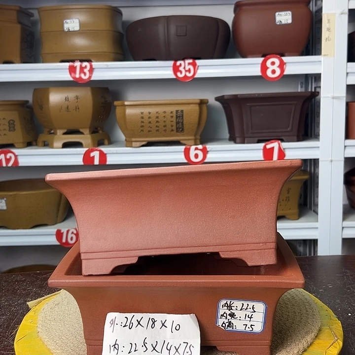 紫砂花盆你在一起