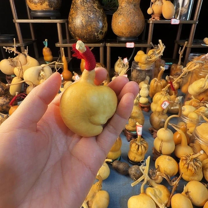 清***摇葫芦大厚皮是真的好看