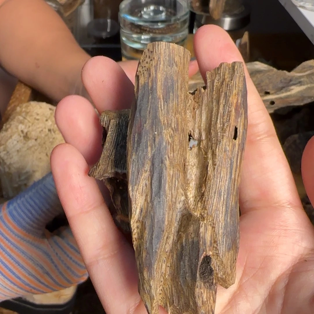 沉香碎屑沉香棋楠沉香16克