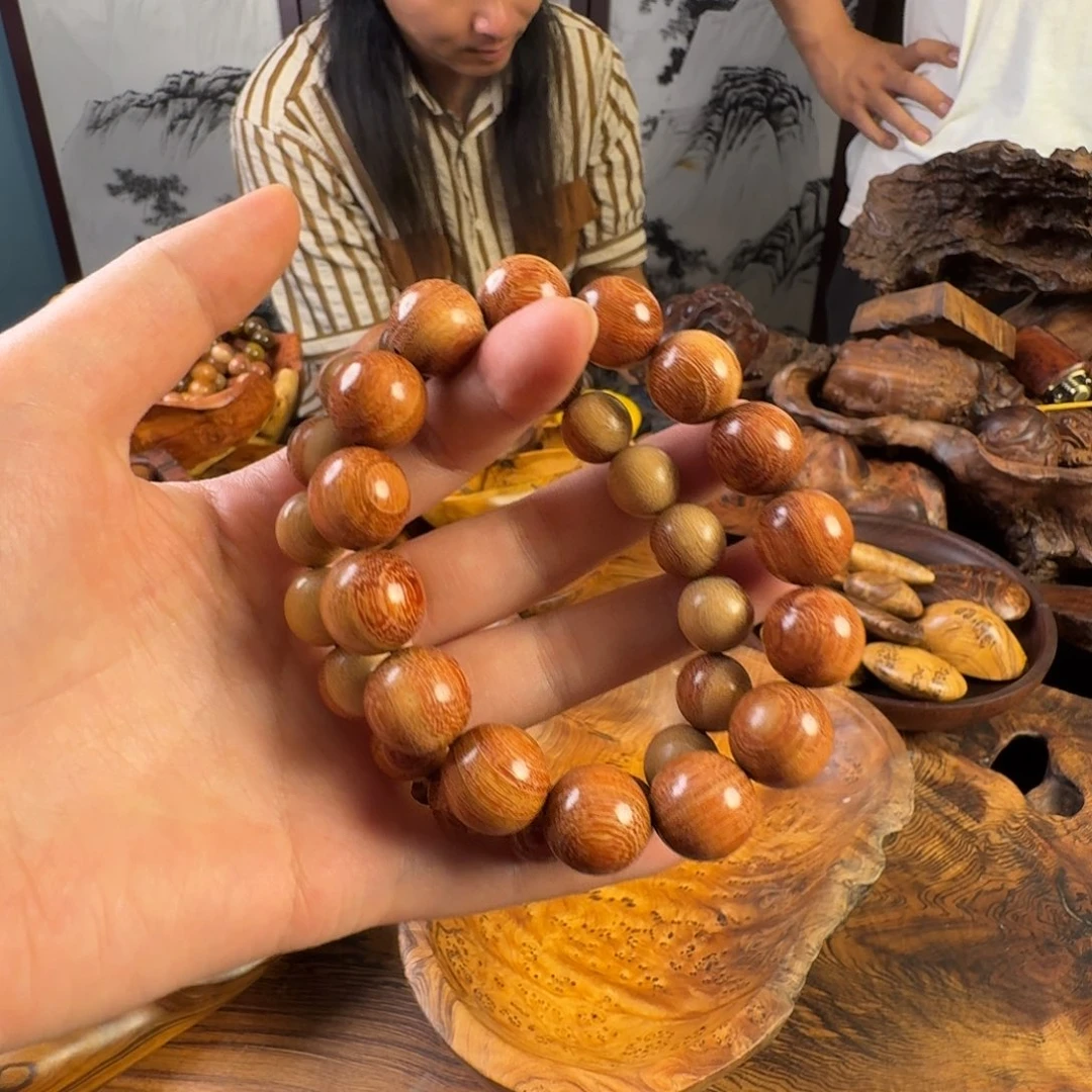 阿***洪小叶羊蹄甲清香木