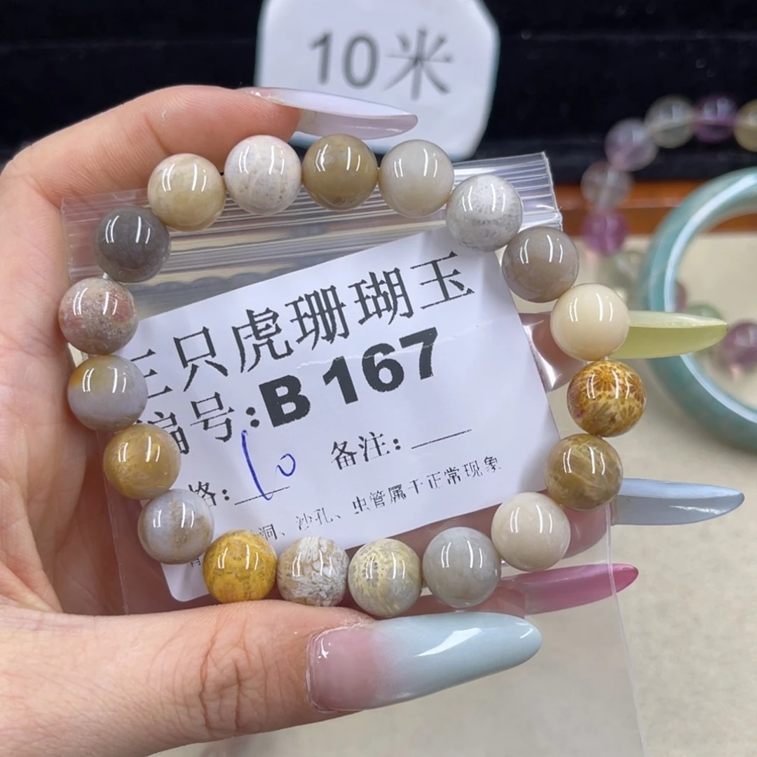 左***࿐硅化珊瑚（珊瑚玉）h未镶嵌