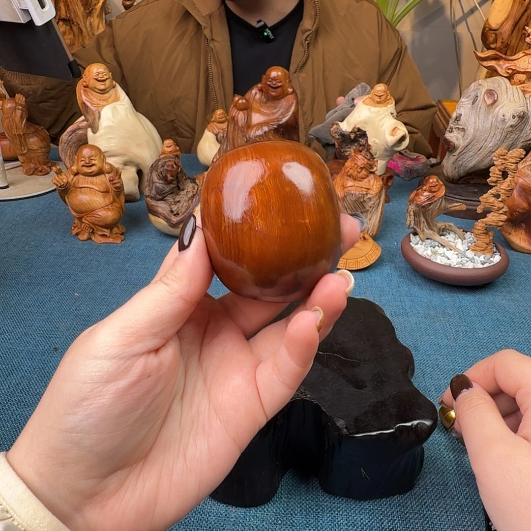 柏木（崖柏）关注一下