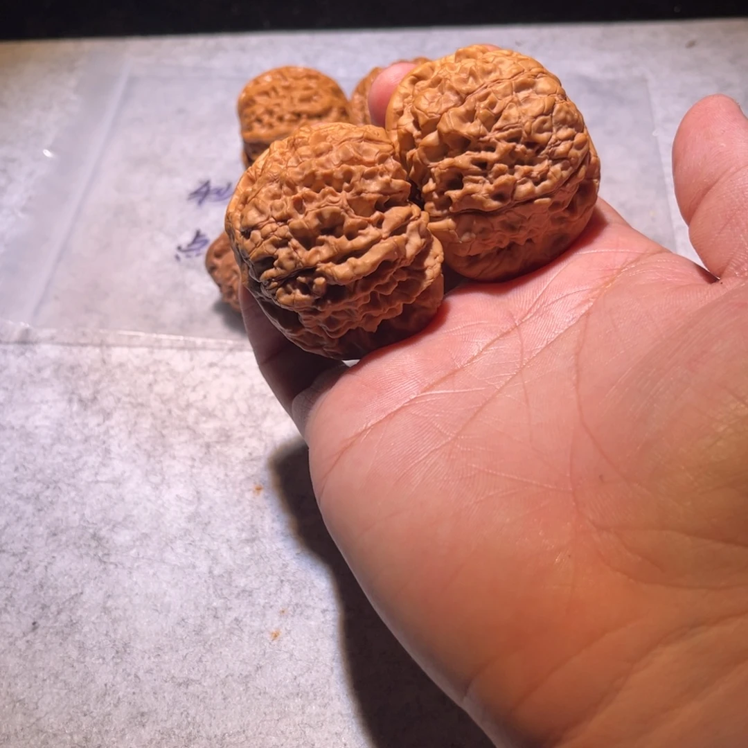 哈哈哈哈哈哈哈哈哈哈