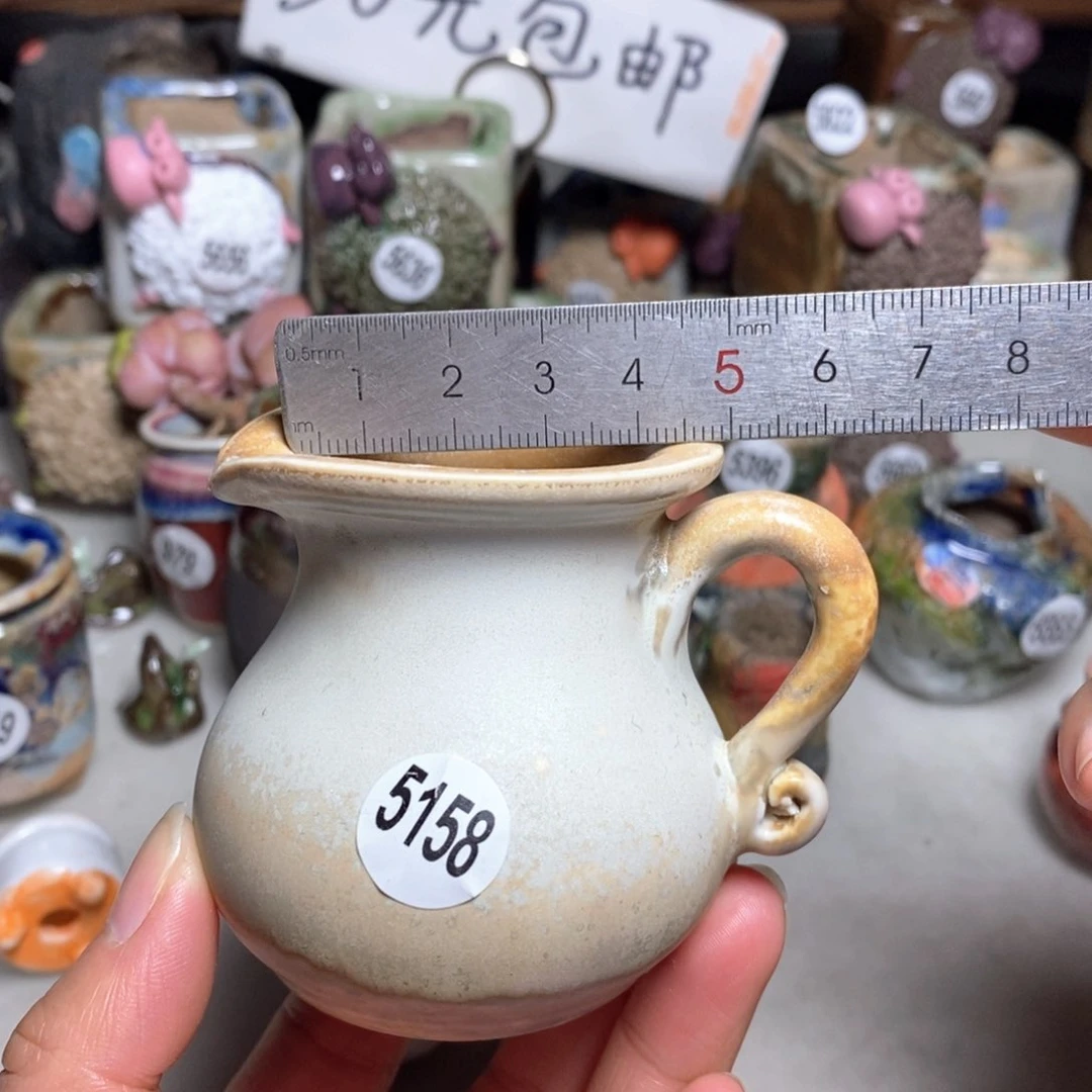 拍5送一个小礼物
