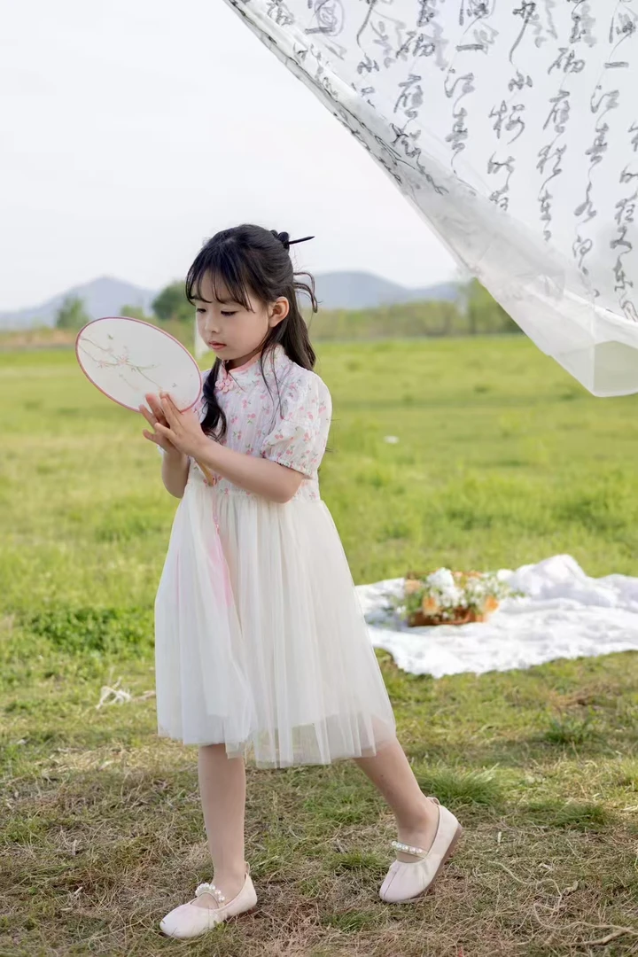 【磊杨家】碎花短袖女长袖夏季连衣裙古装纱裙-820208