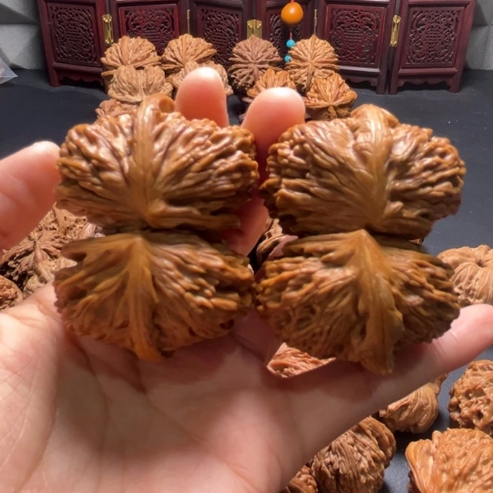 梦***人白狮子连体55尺寸核桃哈哈哈哈