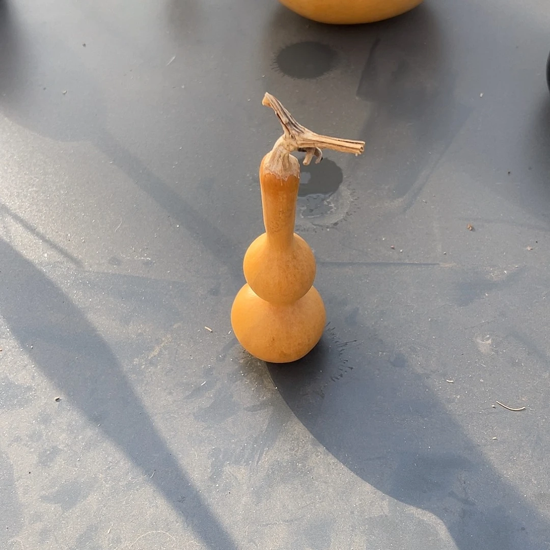 棋***乐238葫芦238888888