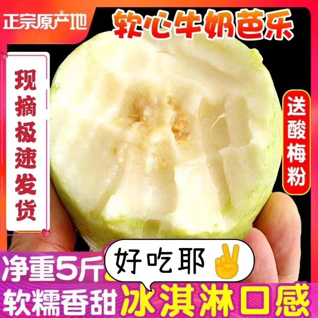 广西软糯新鲜奶油芭乐番石榴软心香甜低糖小香果孕妇水果送酸梅粉