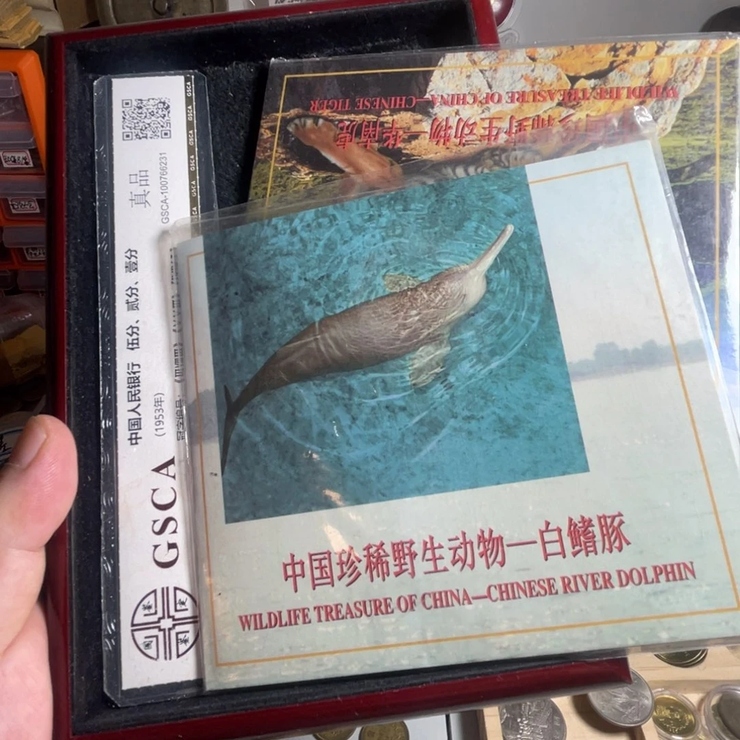 其他普通金属老虎套装