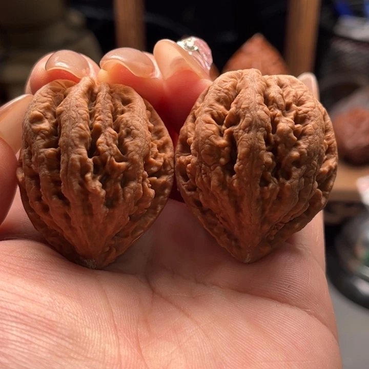 文玩核桃把件楸大胖9