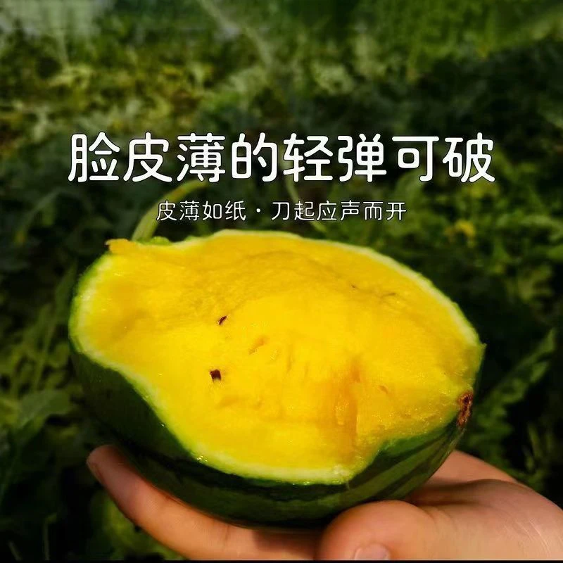 【优选】西瓜产地直发黄心特小凤西瓜水果新鲜现摘冰淇淋西瓜当季