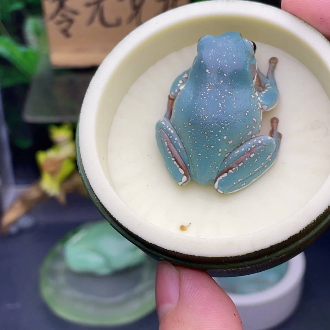 草****老爷树蛙4号加热包