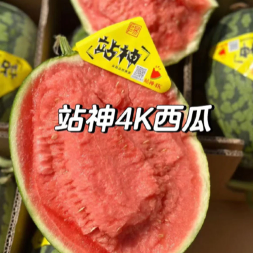 战神4K西瓜*个（需加工备注）西瓜同城配海南省