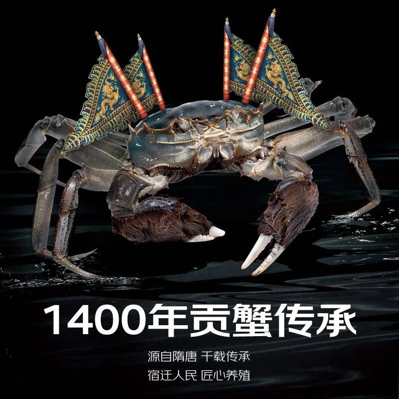河蟹全母蟹10只顺丰包邮鲜活到家1.3-1.0两/只