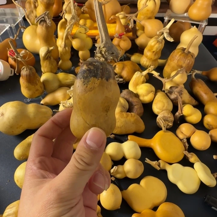 o***O绒面水库工程给哥哥好家家户户哈哈