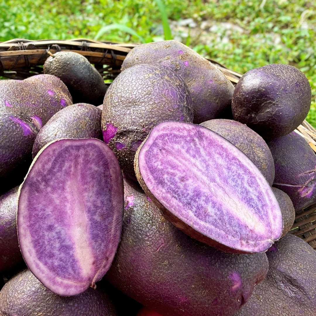 泉溪现挖高山紫皮紫心土豆（5斤装）