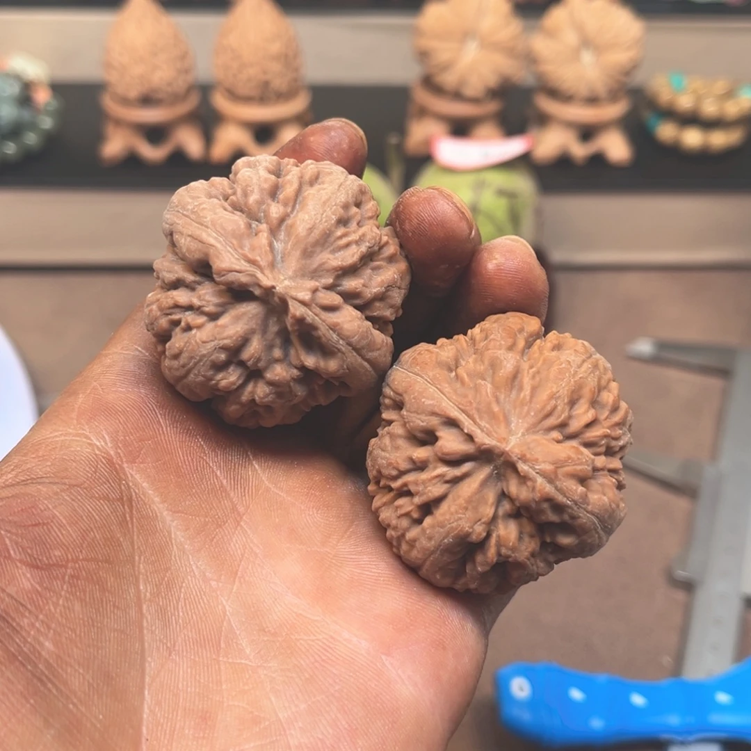 桃核吊坠霸王龙新果！42