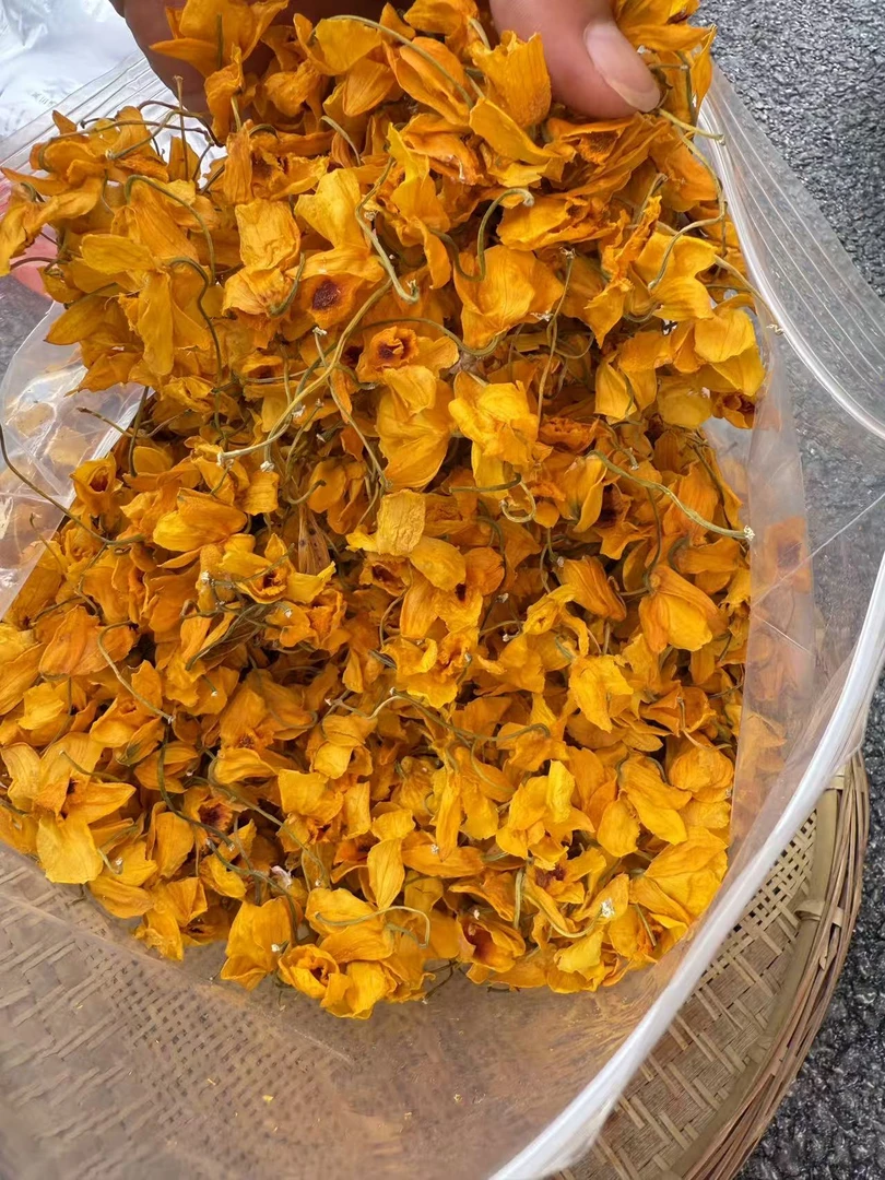 小蒲推荐 下山货 金兰石斛花