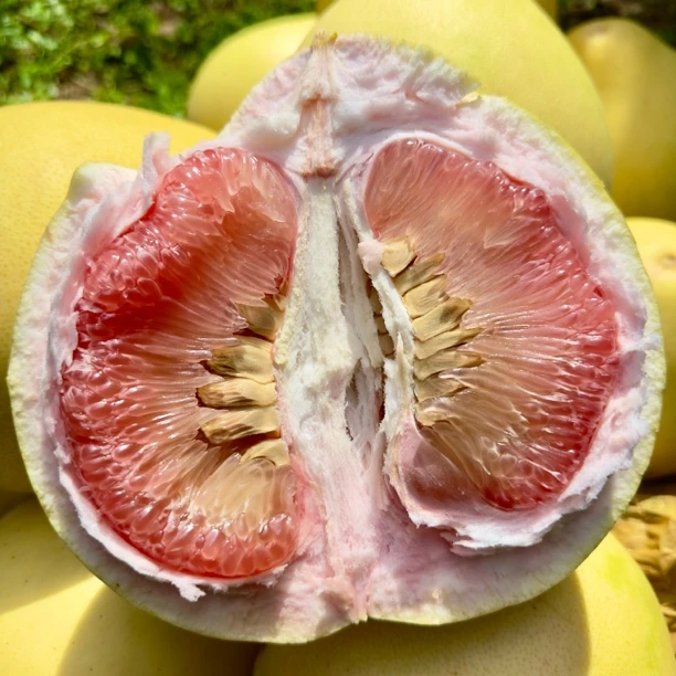 正宗广西容县红心蜜柚果粒脆爽应季新鲜水果礼盒箱送礼批发