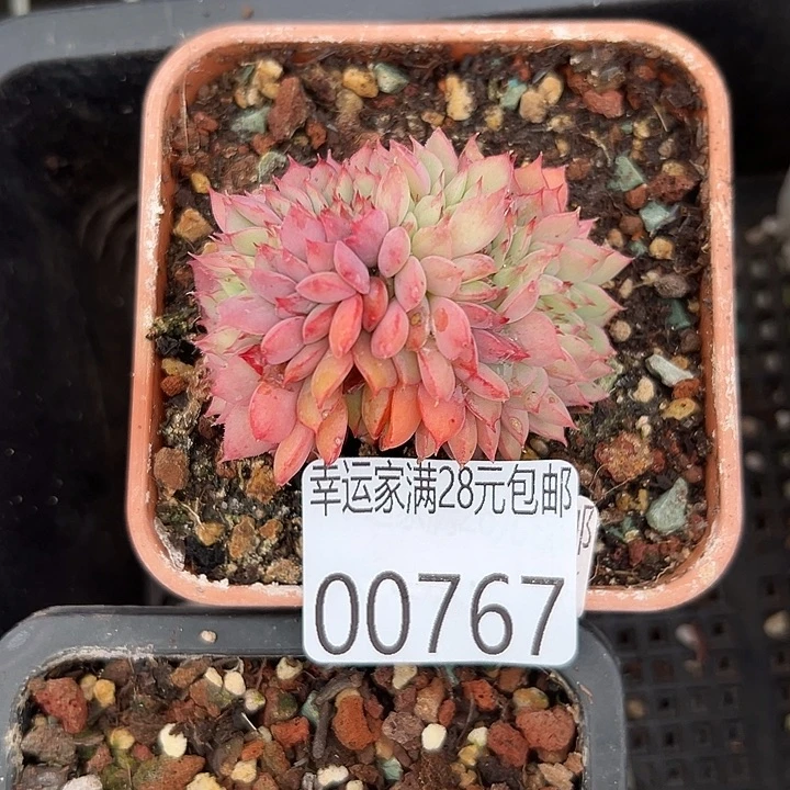 幸运的是我还没遇到过