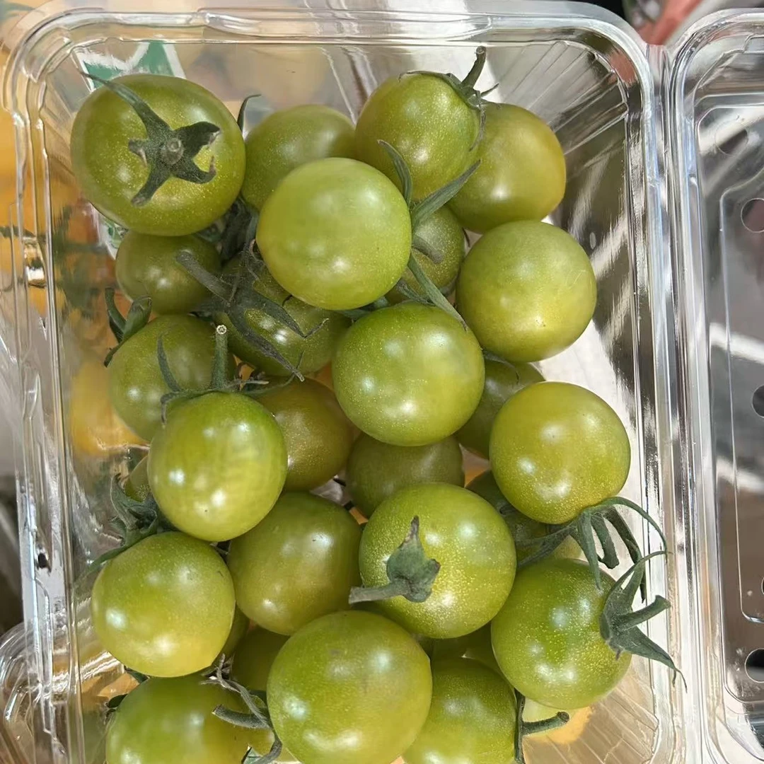 北京本地清甜小柿子绿色当季新鲜好果爆甜北京市